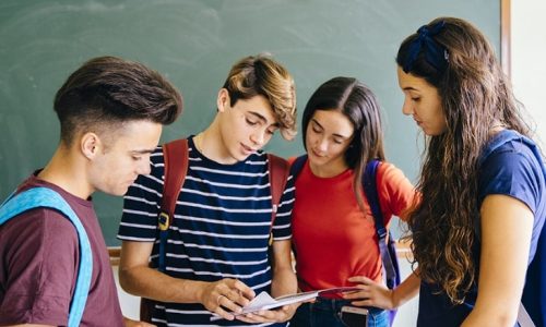 Competitive Strategy law and Organization